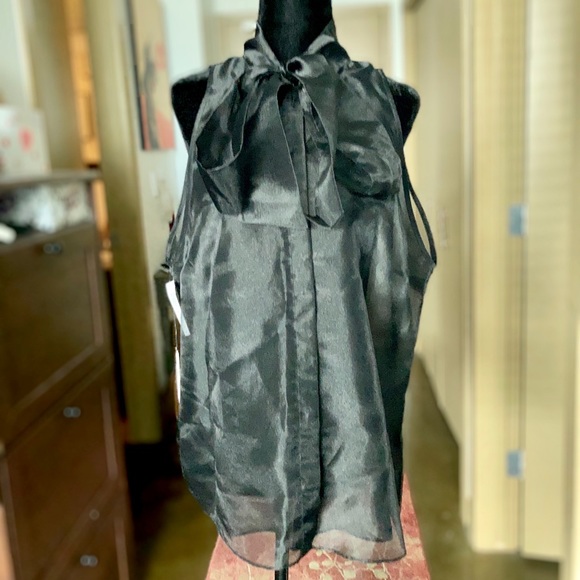 Babaton Tops - 🏷 Babaton | NWT Julius Sheer Blouse - Black, L